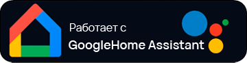 Google Home Assistant