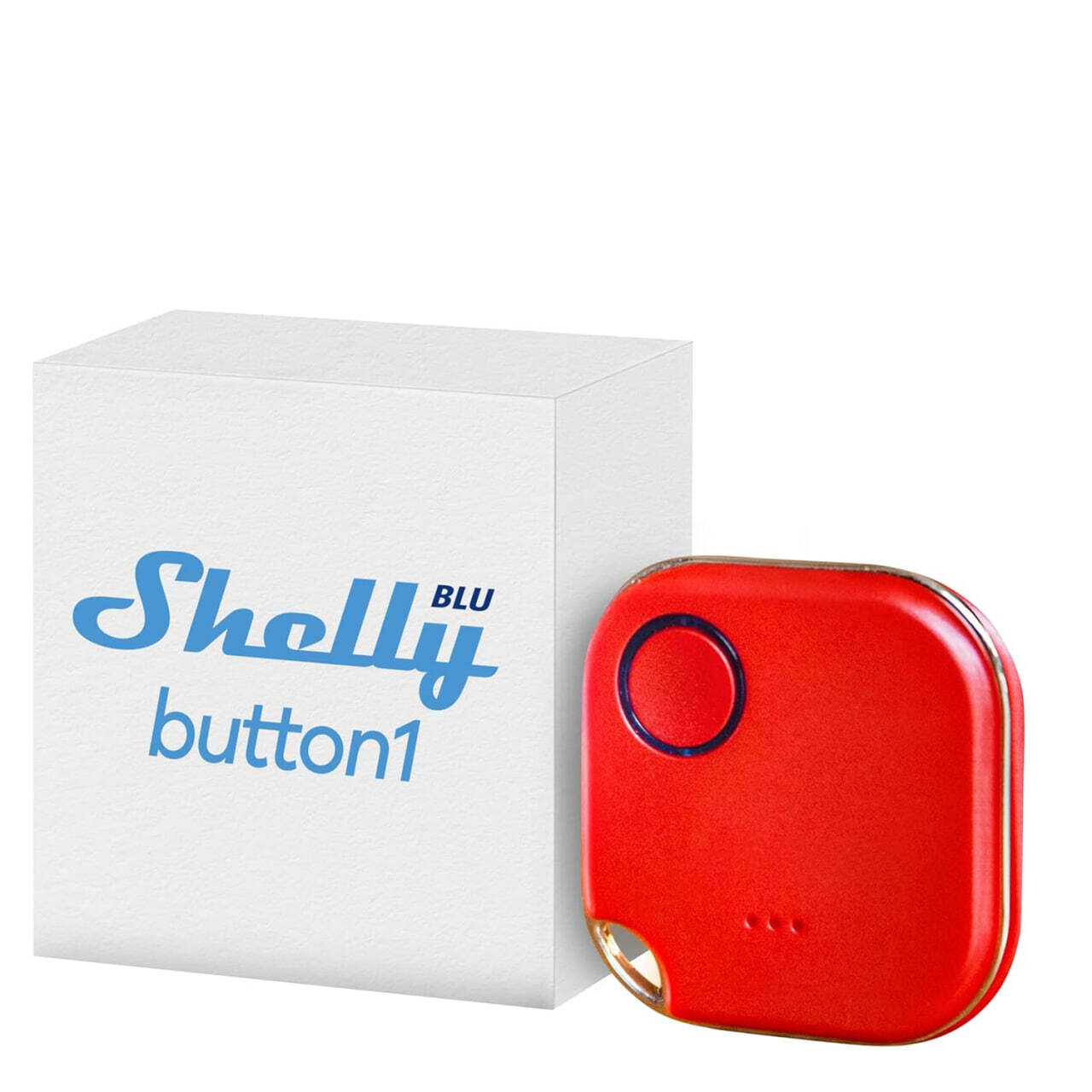 Shelly Blu Button 1 — изображение 5