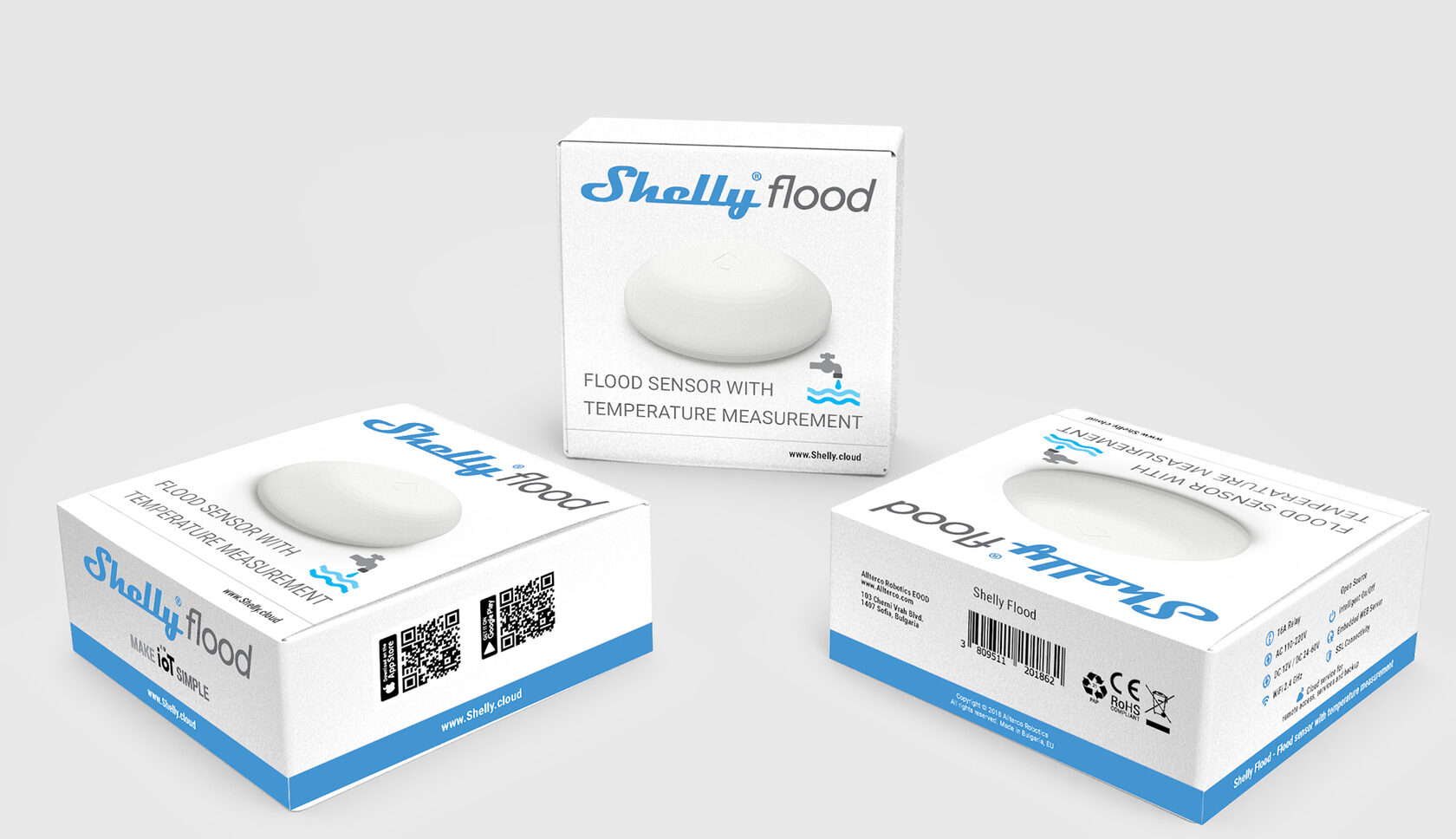 Shelly Flood — изображение 2