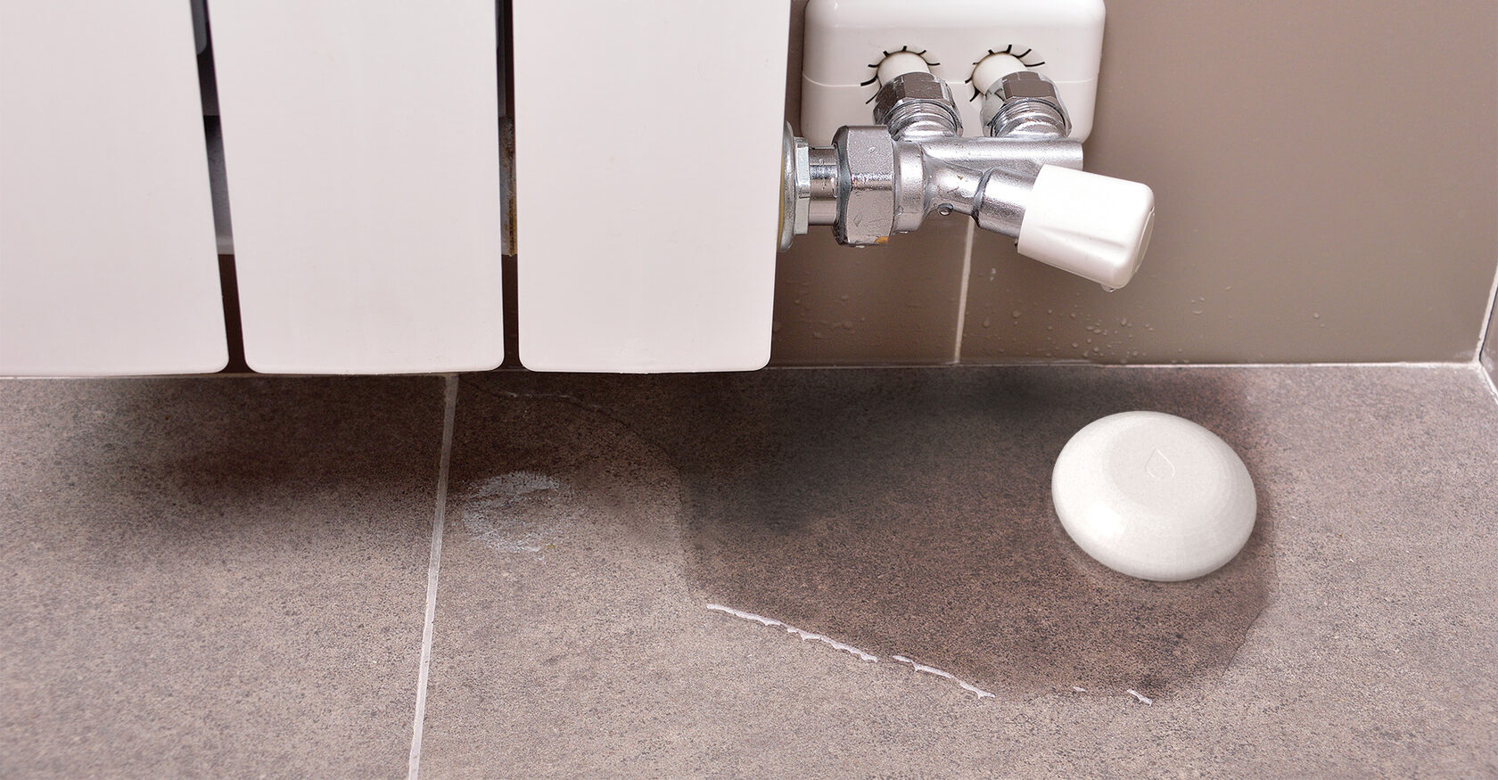 Shelly Flood — изображение 4